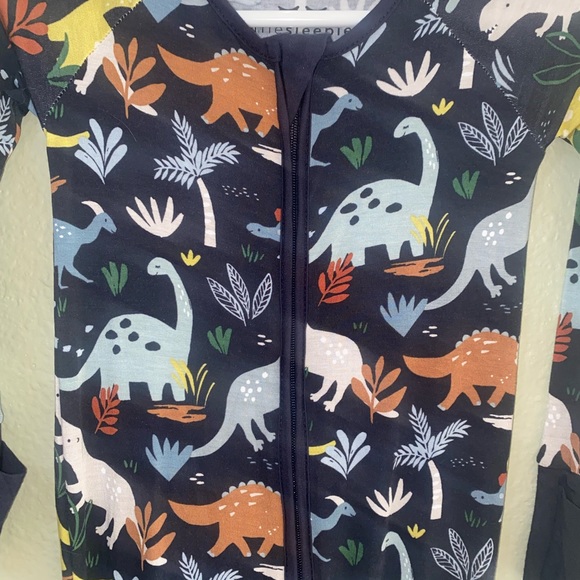 🦕🦖LS Jurassic zippy🦕🦖 - Picture 4 of 5